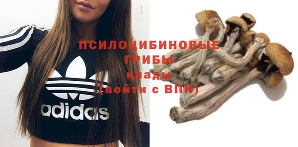 а пвп мука Алзамай