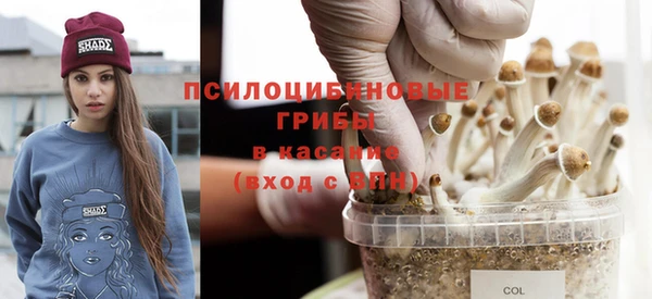 дживик Алексеевка